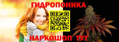 spice Свободный
