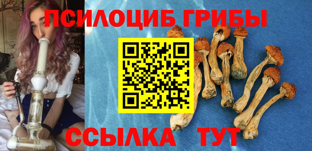 Псилоцибиновые грибы мицелий Орск